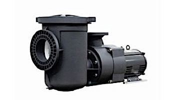 Pentair EQW300 Series 3HP Nema Premium Efficiency Single Phase Waterfall Pool Pump without Strainer 208-230V | 340014