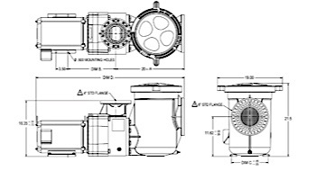 Pentair EQW300 Series 3HP Nema Premium Efficiency Single Phase Waterfall Pool Pump with Strainer 208-230V | 340026