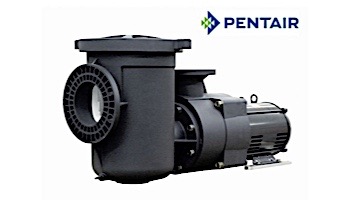Pentair EQWK300 Series 3HP Nema Premium Efficiency 3-Phase Waterfall Pool Pump with Strainer 208-230-460V | 340027