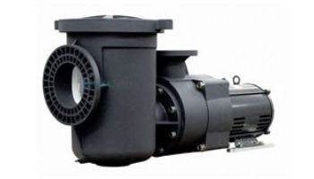 Pentair EQK1000 Series 10HP Nema Premium Efficiency 3-Phase Pool Pump with Strainer 208-230-460V  | 340034