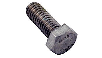 Pentair Screw Cap 3/8-16x1" Stainless Steel | 354290