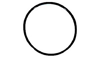 Pentair Diffuser O-Ring | 355227 355227Z