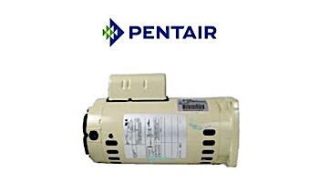 Pentair Replacement Square Flange Motor 2 Speed Energy Efficient | 230V 1HP | Almond | 356630S