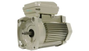 Pentair Motor Square Flange Energy Efficient | 3 Phase | 208/230/460V 1HP | Almond | 356626S | 354805S