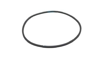 Pentair EQ Series Pump Lid O-Ring | 350166