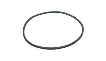 Pentair EQ Series Pump Lid O-Ring | 350166