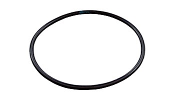 Pentair EQ Series Seal Plate O-Ring | 356780