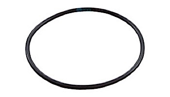 Pentair EQ Series Seal Plate O-Ring | 356780