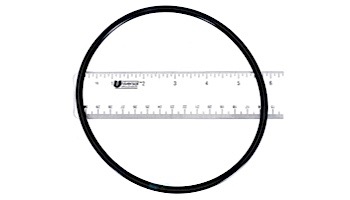 Pentair SuperFlo Strainer O-Ring | 357255 357255Z