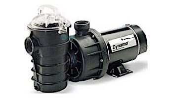 Pentair Dynamo Above Ground Pool Pump with 3' Cord | 115V 0.75HP | 340194