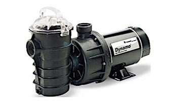 Pentair Dynamo Above Ground Pool Pump with 3' Cord | 115V 1HP | 340197