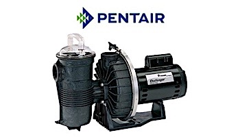 Pentair Challenger 1HP High Flow Pool Pump Full Rated 115V 230V | 342234