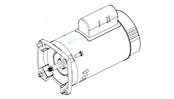 Pentair Motor Blk Sqfl 3HP 3PH E 208/230/460V | 355398S | 354812S