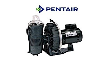 Pentair Challenger 1HP High Flow Pool Pump Up-Rated  115V 230V | 343233
