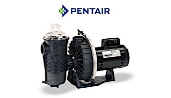 Pentair Waterfall Energy Efficient Pool Pump with Strainer | 115/230V AFP-75 | 340350