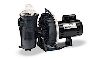 Pentair Waterfall Energy Efficient Pool Pump with Strainer | 115/230V AFP-120 | 340351