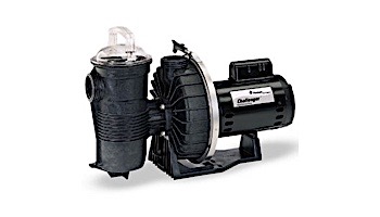 Pentair Challenger 5HP Single Phase 208 230V Full Rate Energy Effcient High Flow Pool Pump | 345210