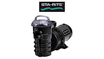 Sta-Rite Dynamo 1HP Aboveground 2-Speed Pool Pump with 3' Standard Cord 115V | 340060SR