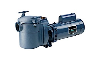 Sta-Rite CF Series 1HP Standard Efficiency Full Rated Bronze Pool Pump with 5" Strainer 115-230V | CFAE-79DL