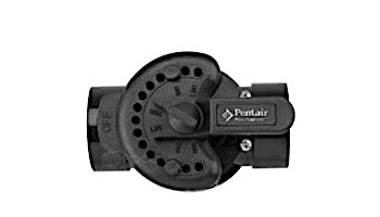 Pentair Compool Lube-Free Diverter Valve 2 Port CPVC 2"-2.5" | 263027