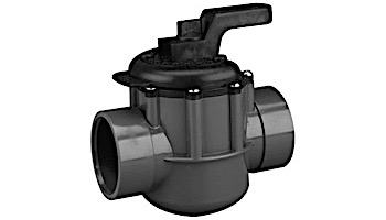 Pentair Lube-Free Diverter Valve 2 Port PVC 2-2.5" | 263029