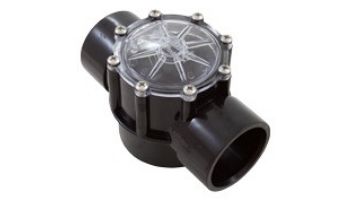 Pentair Straight CPVC Check Valve | 2_quot; x 2.5_quot; | 263042