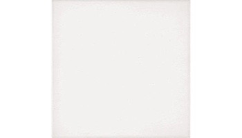 National Pool Tile 6x6 Solids Series | Solids White | M6762C