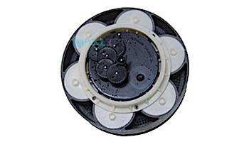 Paramount Pool and Spa Hydra 6 Water Valve Replacement Module | 004-302-4408-00