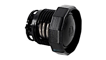 Zodiac Black Pressure Relief With Black Valve | 9-100-9006