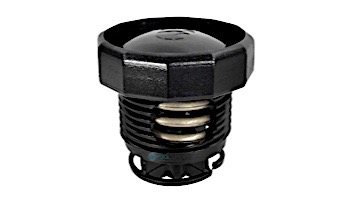 Zodiac Black Pressure Relief With Black Valve | 9-100-9006