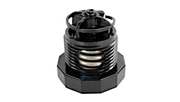 Zodiac Black Pressure Relief With Black Valve | 9-100-9006