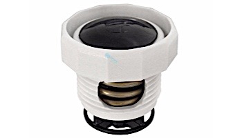 Polaris 380/280/180 Pressure Relief Valve | Black | 9-100-9002