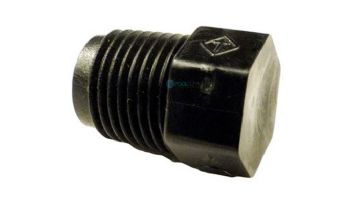 Polaris Booster Pump Plastic Plug | P-20