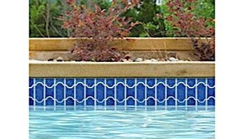 National Pool Tile Botanical Series Pool Tile | Lake Blue | BUE44