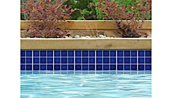 National Pool Tile 2x2 Glazed Series | Cobalt  | BX250