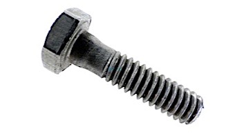 Pentair SS Screw Hex Cap 1/4"-20 x 1" | 2-Required | P26948 071657 071657Z