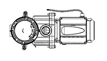 Pentair Intelliflo 3HP Variable Flow Pump VF-3050 3.2kw  230V | 011012