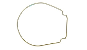 Pentair WhisperFlo & IntelliFlo Seal Plate Gasket | Almond | 357102 357102Z