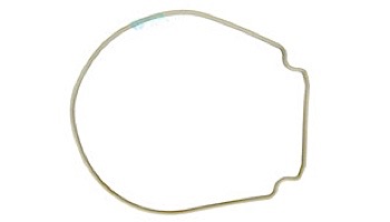 Pentair WhisperFlo & IntelliFlo Seal Plate Gasket | Almond | 357102 | 357102Z