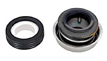 Pentair PS1000 WFE Seal Kit | 071734S