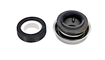 Pentair PS1000 WFE Seal Kit | 071734S