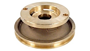 Pentair Seal Flange Adapter | Brass | 070906 P09800