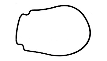 Pentair Seal Plate Gasket | Black | 357100 357100Z