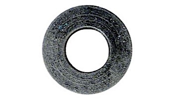 Pentair Rubber Impeller Screw Washer | 075713