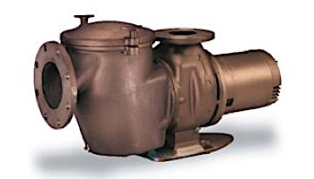 Pentair C-Series 10HP Standard Efficiency Single Phase Commercial Bronze Pump with Strainer | 230V | CH-100 | 347963