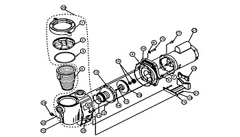 Pentair WhisperFlo Standard Efficiency Pool Pump | 115/208/230V 0.75HP Full Rated | WF-3 | 011579