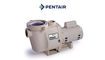 Pentair WhisperFlo Standard Efficiency Pool Pump | 115/230V 1HP Up Rated | WF-24 | 011772