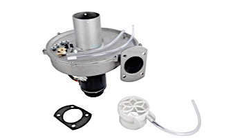 Pentair Air Blower Kit | 460744