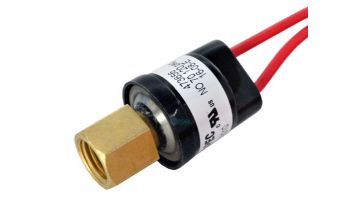 Pentair Low Pressure Switch | 473656