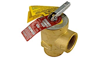 Pentair MasterTemp Pressure Relief Valve | 50PSI | 473715Z